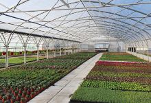 Boucard Didier Horticulteur购物图片