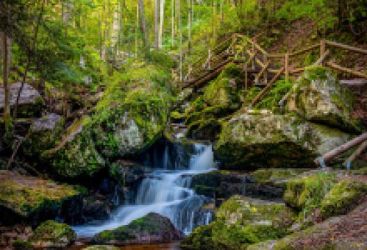 Ysperklamm - wildes Wasser, wilder Wald景点图片