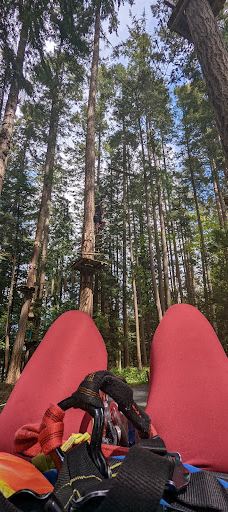 WildPlay Victoria-科尔伍德