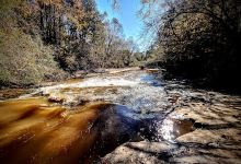 Braselton Mulberry RiverWalk景点图片