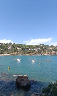 Playa Sa Riera-巴古尔