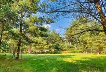 Camping Potęgowo景点图片