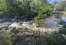 Jennings Falls Trailhead景点图片