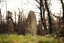 Menhir von Obermoschel景点图片