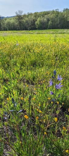 Jackson-Frazier Wetlands-本顿县