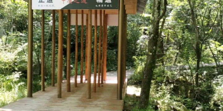 青峯峽森林公園-黑白道