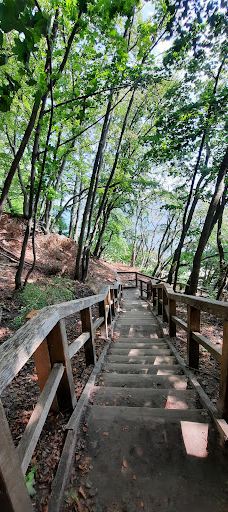 Kępa Redłowska-格丁尼亚