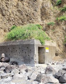 Oceanside Beach State Recreation Site-欧申赛德