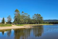 North Wollongong Beach Fore-Dune景点图片