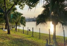 Parque da Represa Municipal景点图片