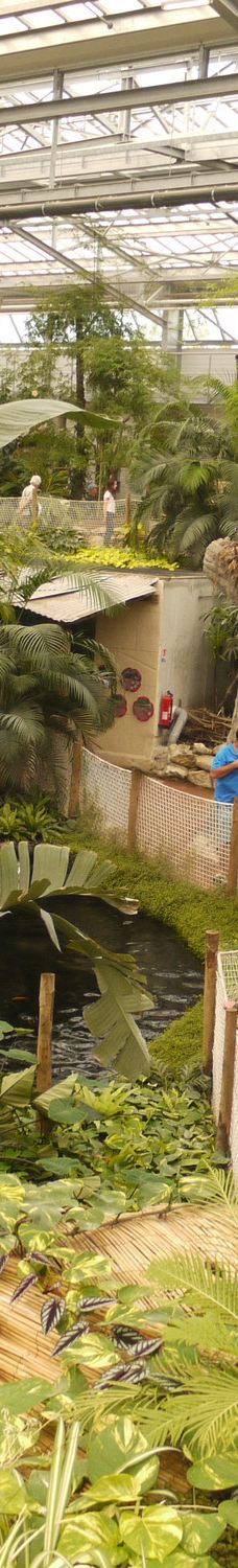 Biotropica, animal gardens-瓦德勒伊