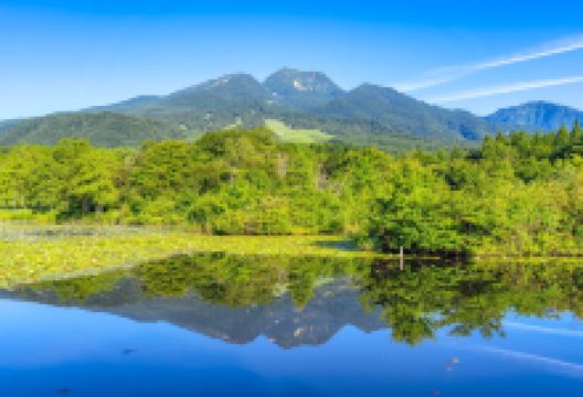 いもり池景点图片