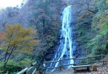 Marugami Falls景点图片