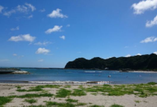 兴津海水浴场景点图片