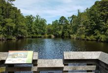 Nags Head Woods Preserve景点图片