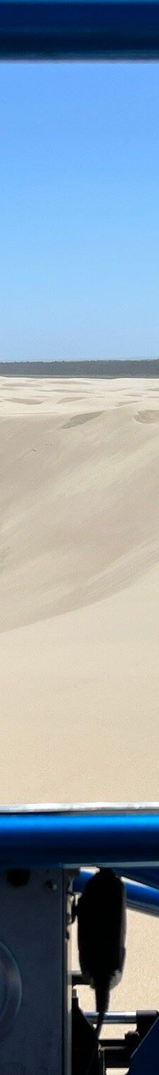 Sandland Adventures Inc-雷恩县