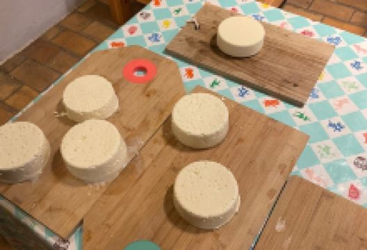 The Old Cheese Factory景点图片