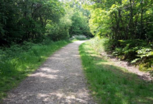 Parkhurst Forest景点图片