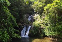 Arangachi Falls景点图片