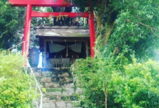 Jofuku no Miya Shrine景点图片