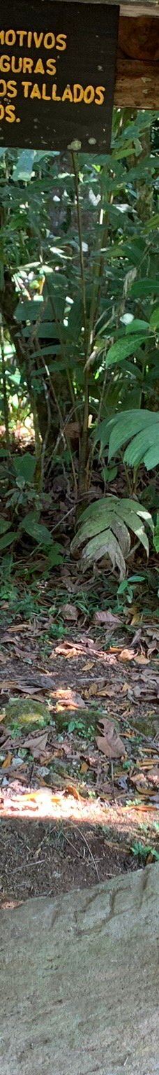 Finca Cantaros-圣维托