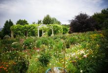 Kaydale Lodge Gardens景点图片