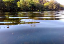 Playa Fluvial de Tapia景点图片