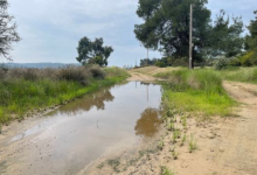 Sani Wetlands景点图片