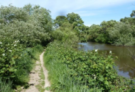 Laguna Youth Park景点图片