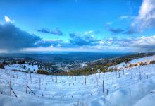 Batroun Mountains Winery景点图片
