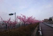 Futatsuike Park景点图片