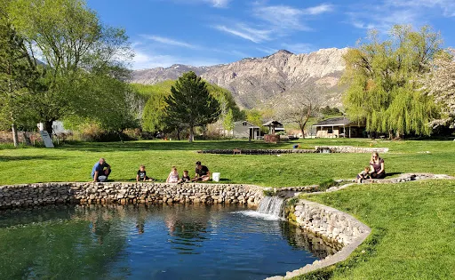 Cold Springs Trout Farm