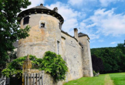 Château d'Ozenay景点图片