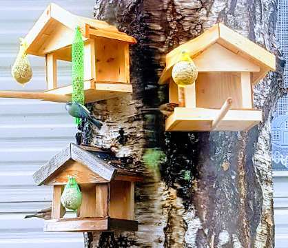 Camping Rosa-Pré餐厅图片