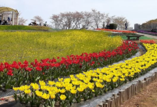 中尾山公園景点图片