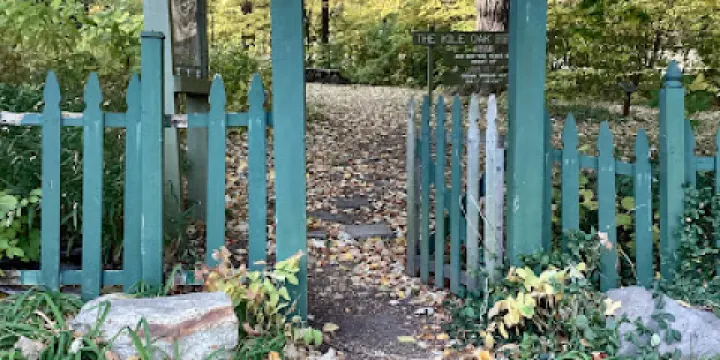 Kile Oak Habitat Garden