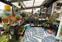 Acacia Bay Garden Centre购物图片
