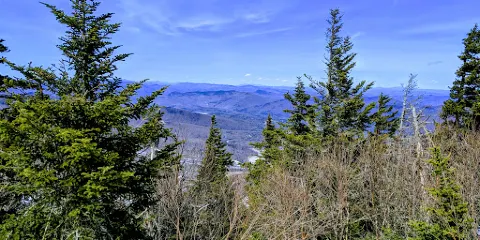 Coolidge State Forest