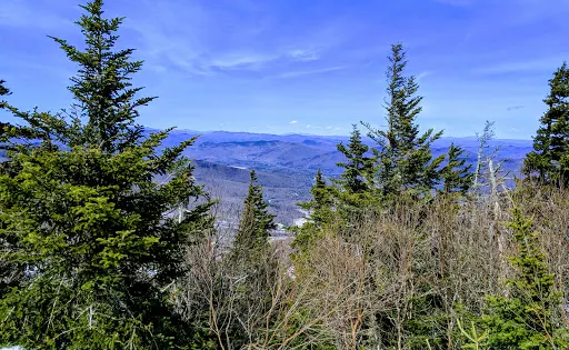 Coolidge State Forest