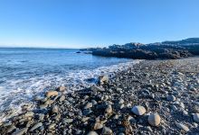 Bog Brook Cove Trails景点图片