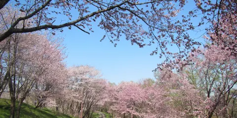 Niwayama Forest Natural Park