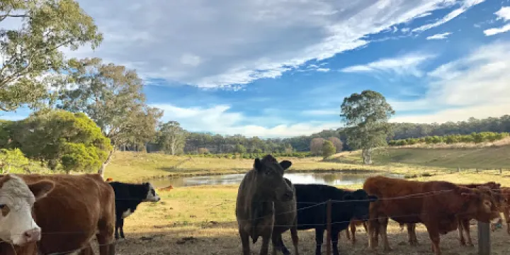 Anderson Farm Pick Your Own