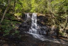 Jerusalem Creek Picnic area景点图片