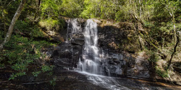 Jerusalem Creek Picnic area
