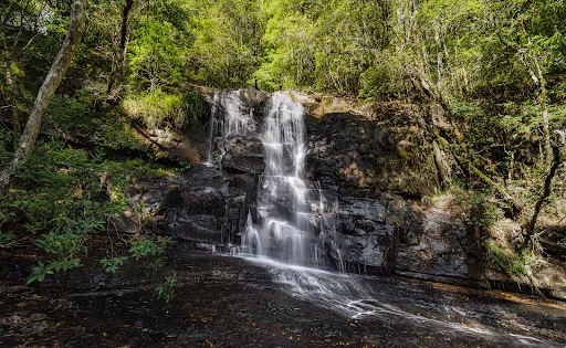 Jerusalem Creek Picnic area