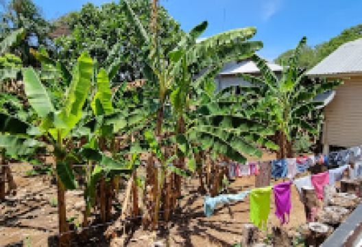 Dr. John景点图片