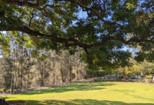 Old Mill Reserve景点图片