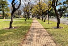 Waikerie War Memorial Gardens景点图片