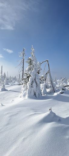 Poledník-普拉斯利