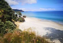 Otama Beach Swing景点图片